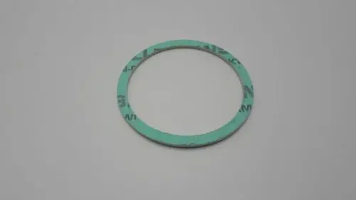 Grüne Dichtung aus Gummi mit flacher, ringförmiger Struktur, sichtbar beschriftet. Ein typisches Ersatzteil von Remeha für Heizungsanwendungen.